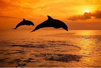 外媒：《黑神话：悟空》将在科隆展提供试玩 数十台机器